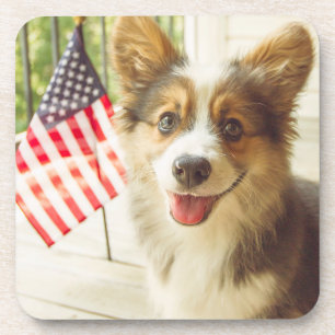 Porta-copo Bebês Mais Pobres   American Flag Corgi