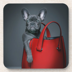 Porta-copo Bebês Mais Pobres Bulldog Francês no Handbag
