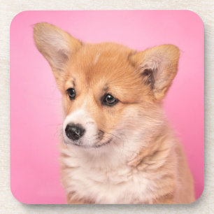 Porta-copo Bebês Mais Pobres Corgi Puppy a rosa