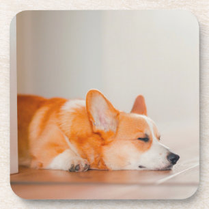 Porta-copo Bebês Mais Pobres Dormência De Corgi