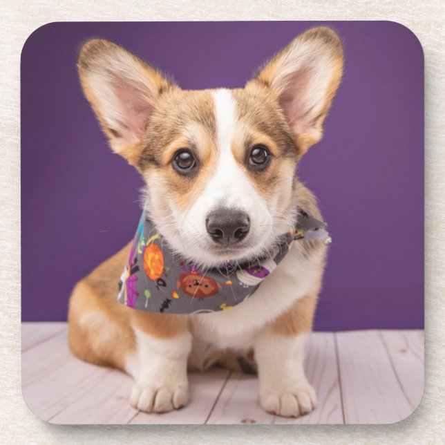 Porta-copo Bebês Mais Pobres | Halloween Corgi (Frente)