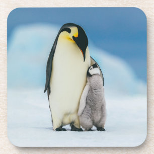 Porta-copo Bebês Mais Pobres Pintinho Imperador Pinguim