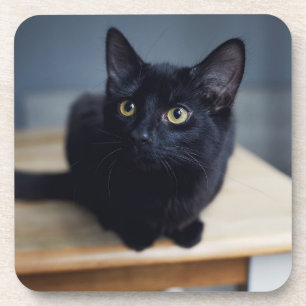 Porta-copo Bebês Mais Pobres Retrato de um Gato Negro