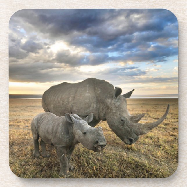 Porta-copo Bebês Mais Pobres | Rinoceronte Branco e Vitelo (Frente)