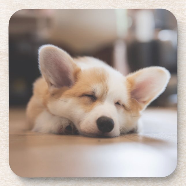 Porta-copo Bebês Mais Pobres | Sleepy Corgi (Frente)