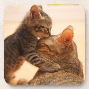 Porta-copo Bebês Mais Pobres Tabby Kitten Kiss