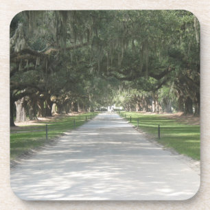 Porta-copo Beco de carvalho no Boone Hall, Charleston SC Port