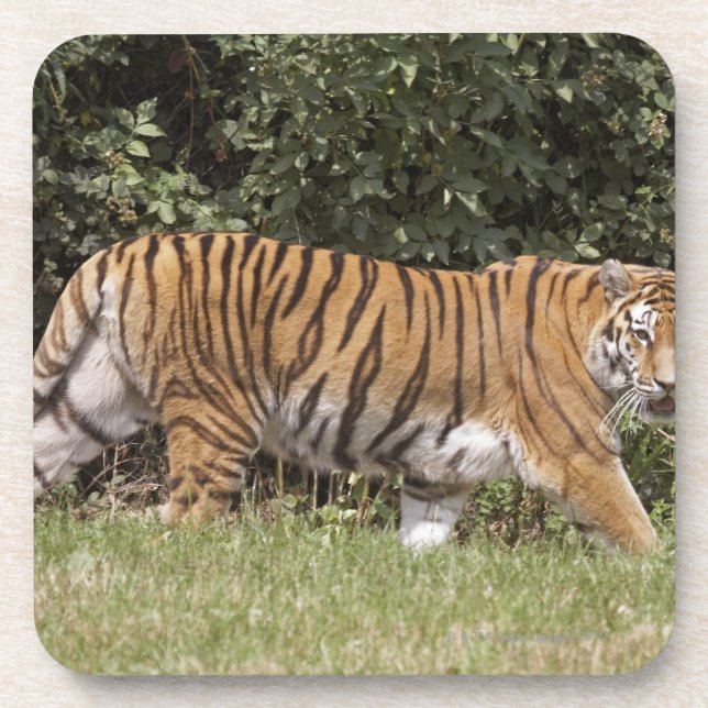 Porta-copo Bedfordshire, Inglaterra 2 (Frente)