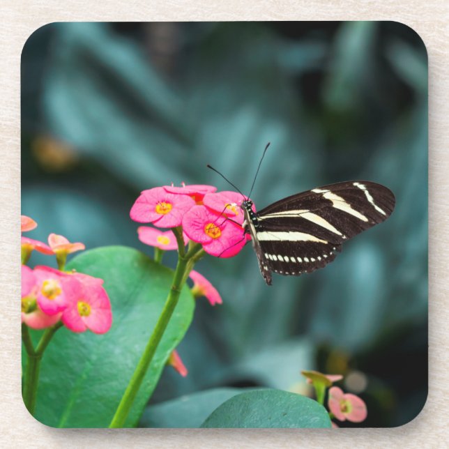 Porta-copo Bela borboleta em uma flor rosa (Frente)
