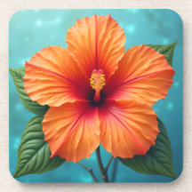 Bela Hibiscus Havaiana