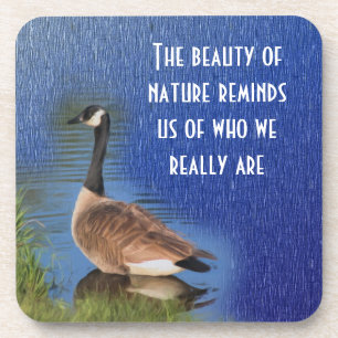 Porta-copo Beleza da Natureza Inspiradora