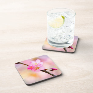 Porta-copo Belos Brilhantes de Cereja Sakura