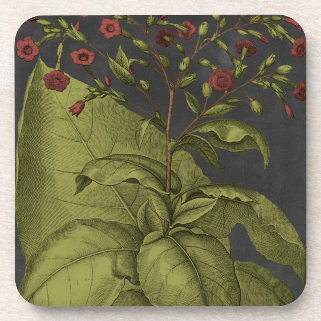 Porta-copo Besler Dramatique I (Frente)