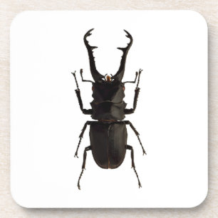 Porta-copo Besouro de Stag