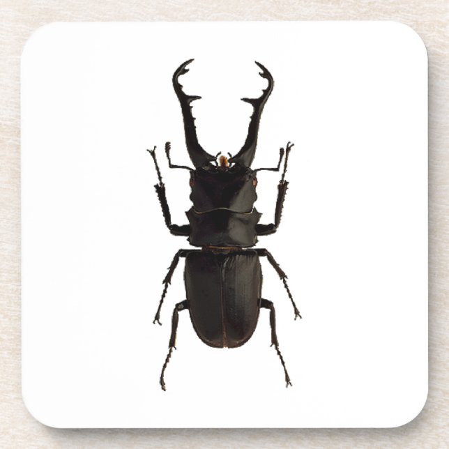 Porta-copo Besouro de Stag (Frente)