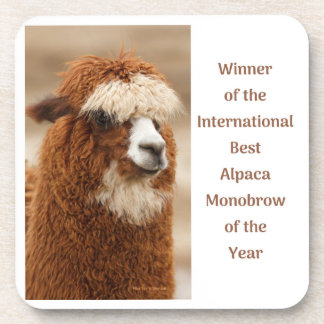 Porta-copo Best Alpaca Monobrow
