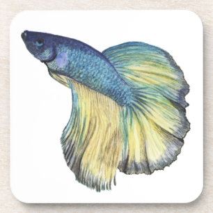 Porta-copo Betta Fish