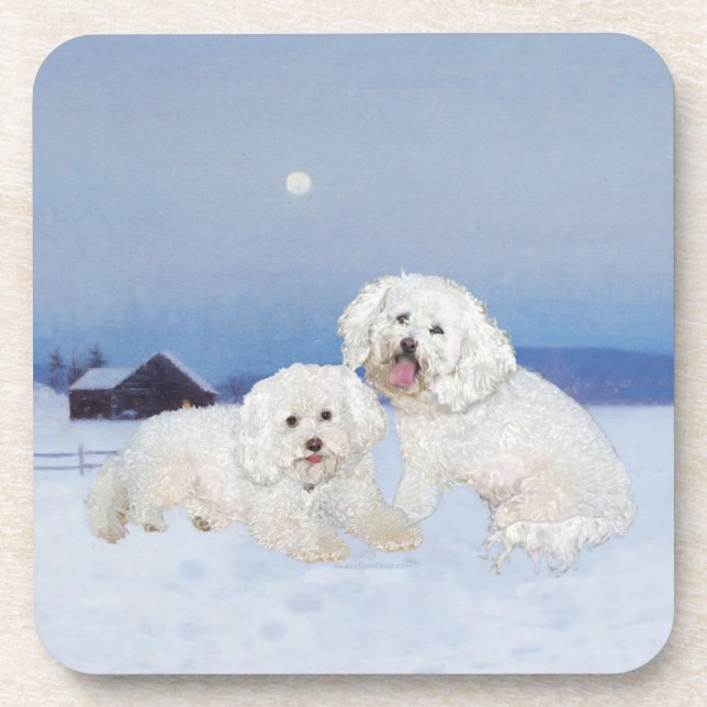 Porta-copo Bichon Frise Noite de Dezembro (Frente)