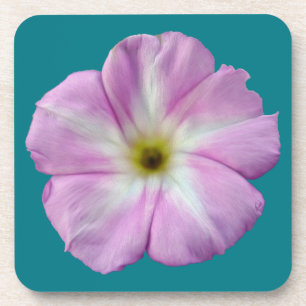 Porta-copo Bindweed nº 1