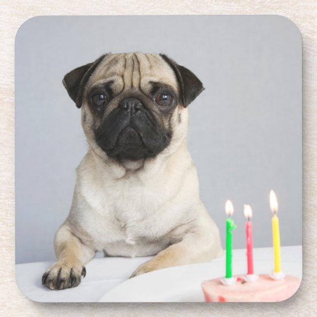 Porta-copo Birthday Pug (Frente)