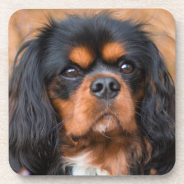 Porta-copo Black and Tan Cavalier King Charles Spaniel Dog