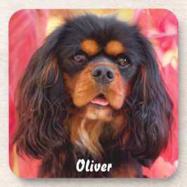 Porta-copo Black and Tan Cavalier King Charles Spaniel Dog