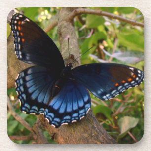 Porta-copo Blue and Black Swallowtail no Jardim Ohio