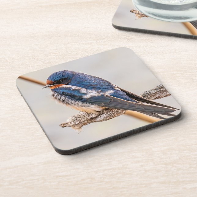 Porta-copo Blue Bird, Barn Swallow, Fotografia canadense (Left Side)