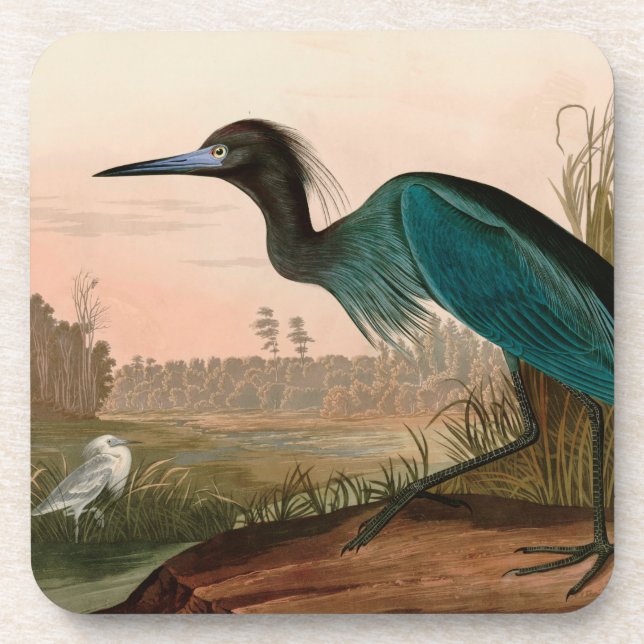 Porta-copo Blue Crane ou Heron Birds of America Audubon Impre (Frente)