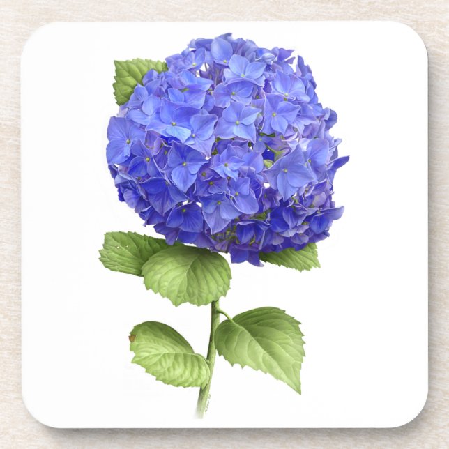 Porta-copo Blue Hydrangea (Frente)
