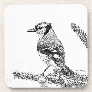 Porta-copo Blue Jay no esboço do inverno