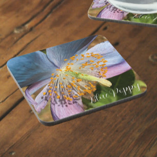 Porta-copo Blue Poppy Bloom Floral