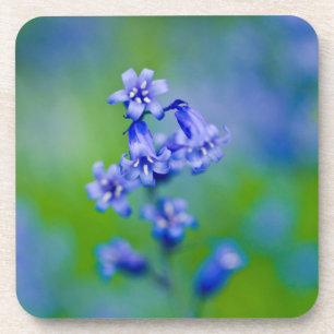 Porta-copo Bluebells flor Coaster