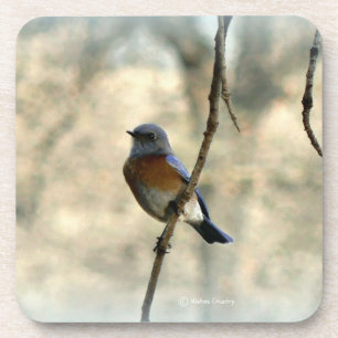 Porta-copo Bluebird de portas copos da felicidade