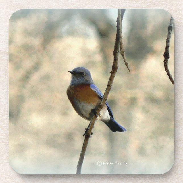Porta-copo Bluebird de portas copos da felicidade (Frente)