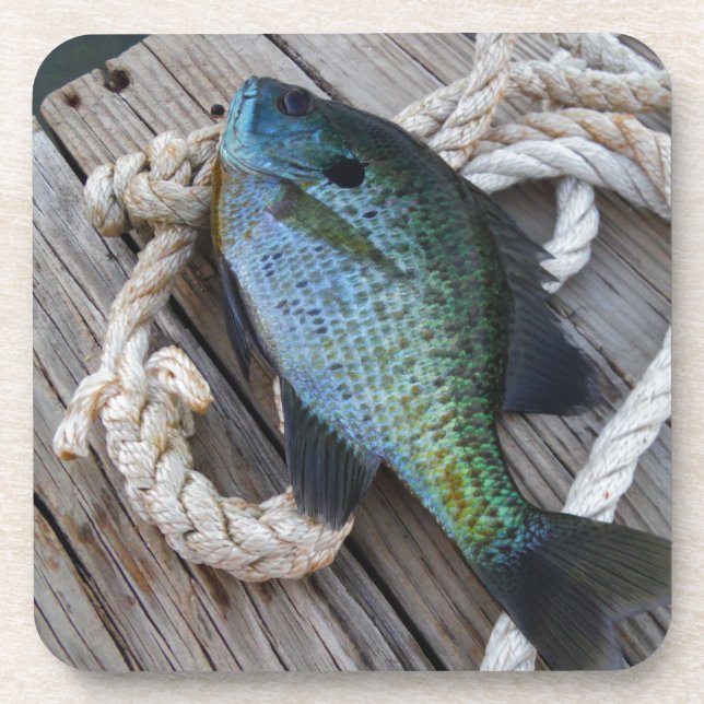 Porta-copo bluegill no doca (Frente)