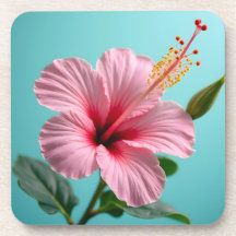 Blush of Elegance: Raio de Hibisco Rosa