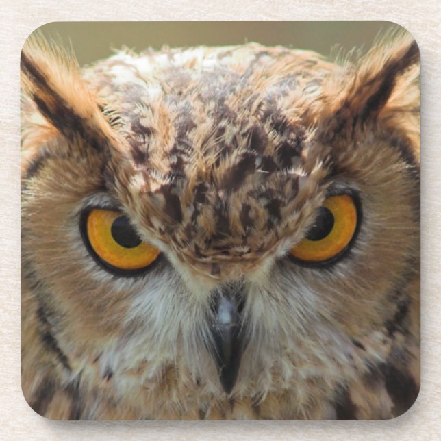 Porta-copo Bonita Coruja (Frente)