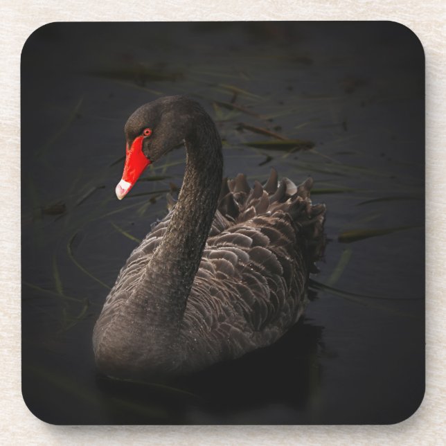 Porta-copo Bonito Swan Negro com Bright Beak Vermelho (Frente)