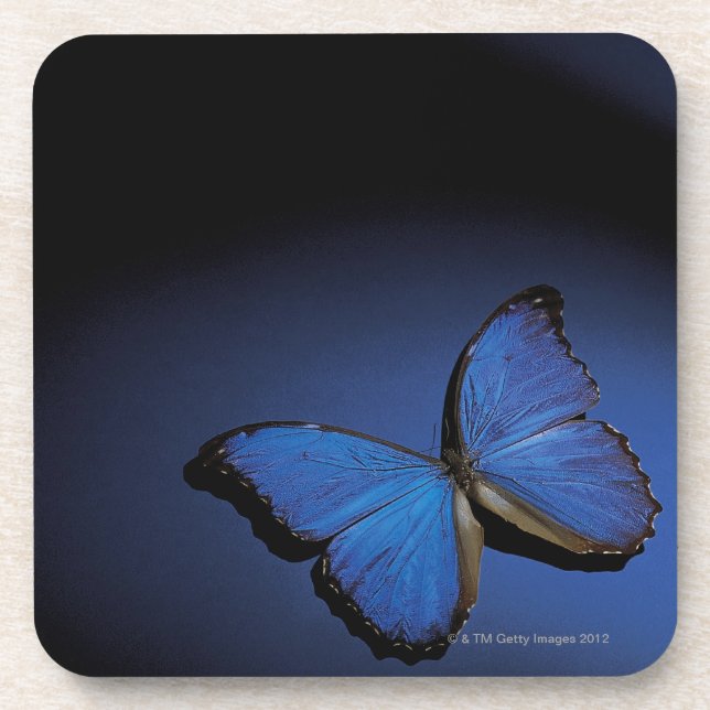 Porta-copo Borboleta azul (Frente)