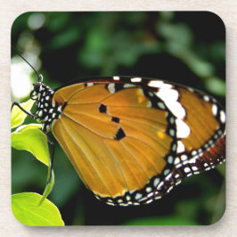 Porta-copo Borboleta branca, cor-de-laranja, preta e branca,