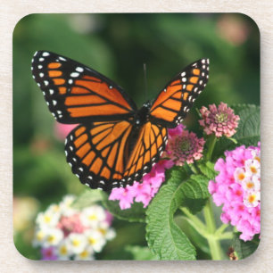 Porta-copo Borboleta de monarca bonita em Flowers.Coasters