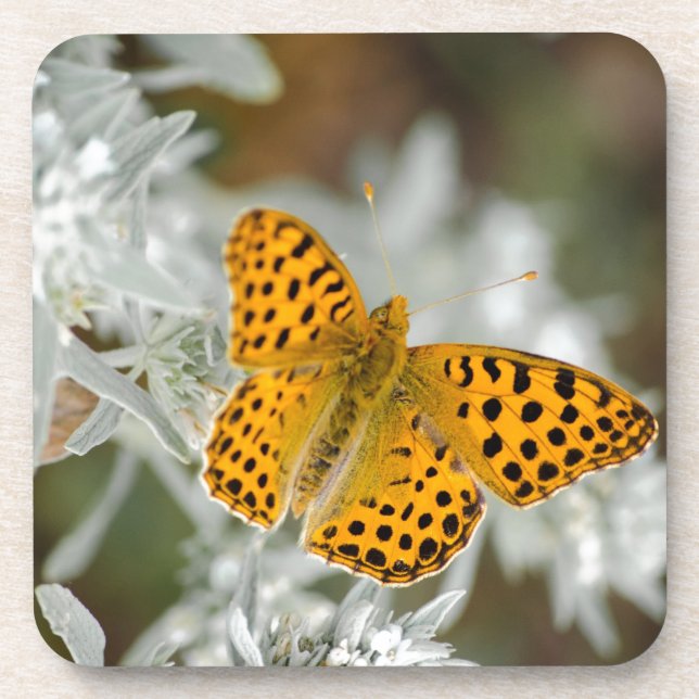 Porta-copo Borboleta-de-vidro laranja e preto (Frente)