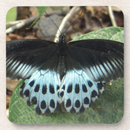 Porta-copo Borboleta Mórmon Iridescente Azul