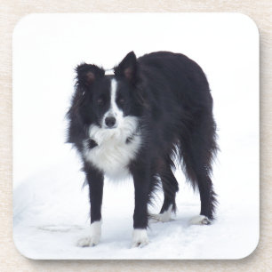 Porta-copo Border collie