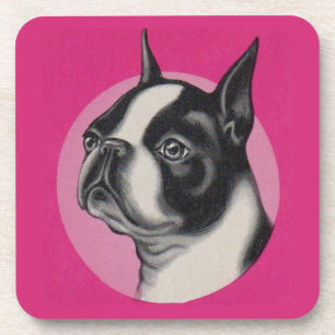 Porta-copo Boston terrier