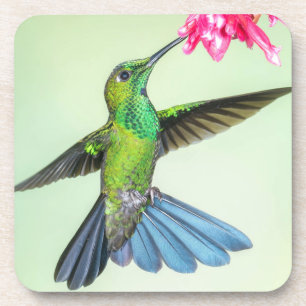 Porta-copo Brilhante, de crosta verde e flor rosa