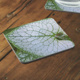 Porta-copo Brunnera Macrofillum Plant Leaf Floral