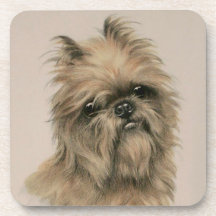 Brussels Griffon