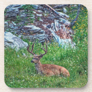Porta-copo Buck De Cama